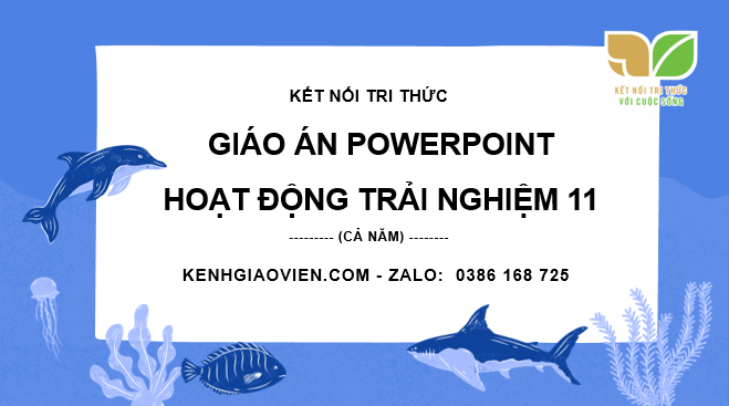 Giáo án điện tử hoạt động trải nghiệm 11 kết nối tri thức