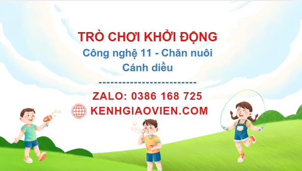 Trò chơi khởi động Công nghệ 11 Chăn nuôi Cánh diều