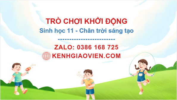 Trò chơi khởi động Sinh học 11 chân trời sáng tạo