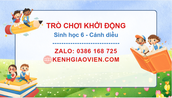 Trò chơi khởi động Sinh học 6 cánh diều