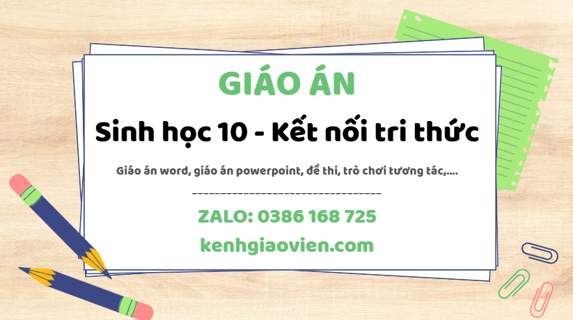 Link tải giáo án sinh học 10 kết nối tri thức 2025