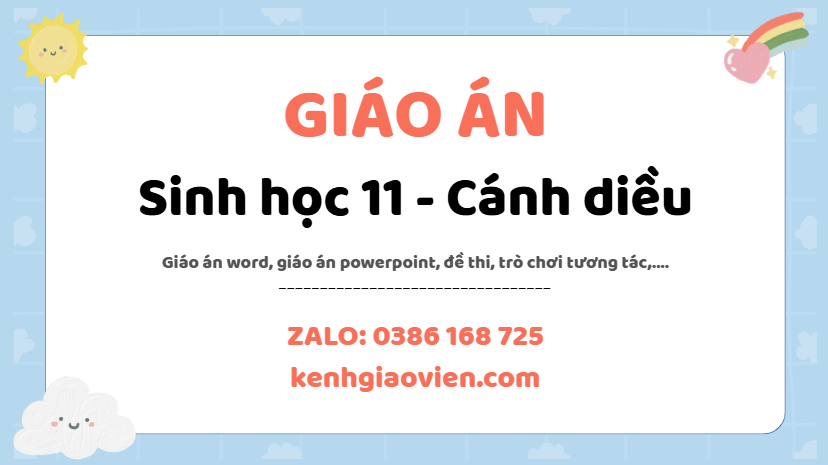 Link tải giáo án sinh học 11 cánh diều 2025