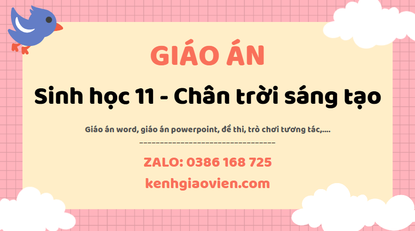 Link tải giáo án sinh học 11 chân trời sáng tạo 2025