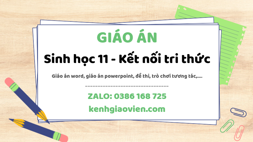 Link tải giáo án sinh học 11 kết nối tri thức 2025