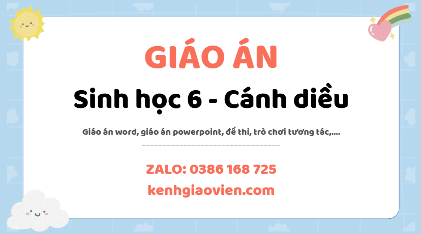 Link tải giáo án sinh học 6 cánh diều 2025