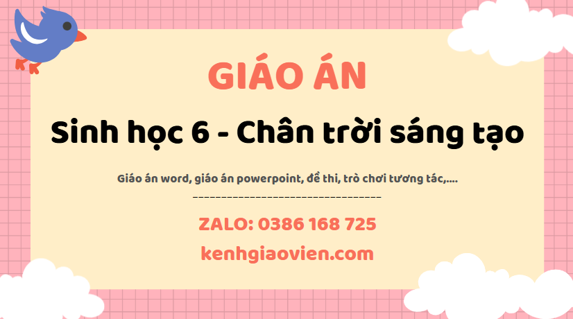 Link tải giáo án sinh học 6 chân trời sáng tạo 2025