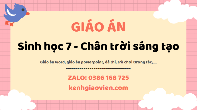Link tải giáo án sinh học 7 chân trời sáng tạo 2025