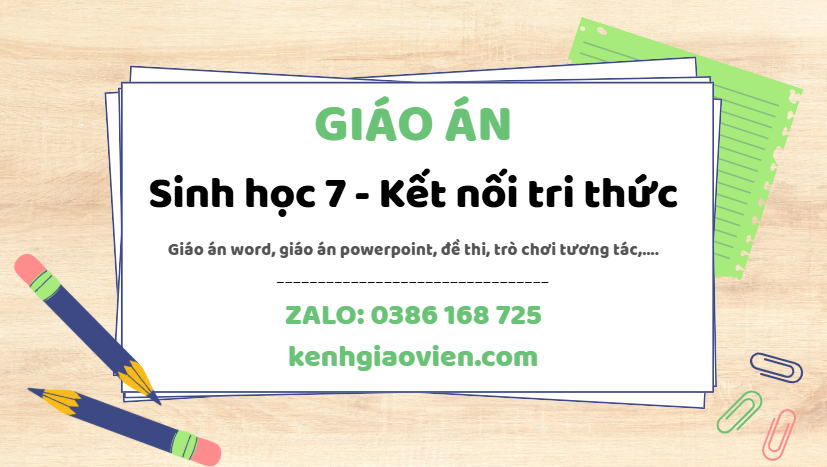 Link tải giáo án sinh học 7 kết nối tri thức 2025