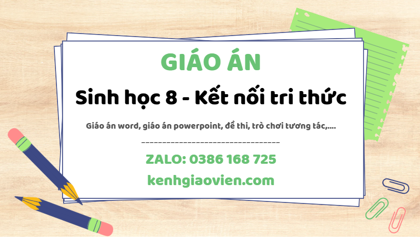 Link tải giáo án sinh học 8 kết nối tri thức 2025