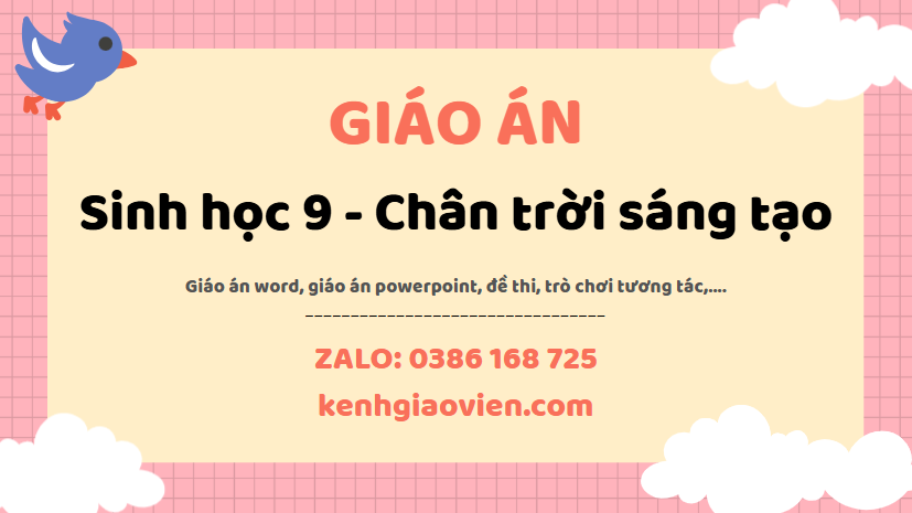 Link tải giáo án sinh học 9 chân trời sáng tạo 2025