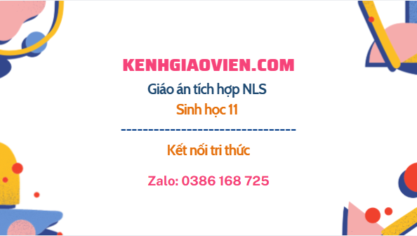 Giáo án tích hợp NLS Sinh học 11 kết nối tri thức