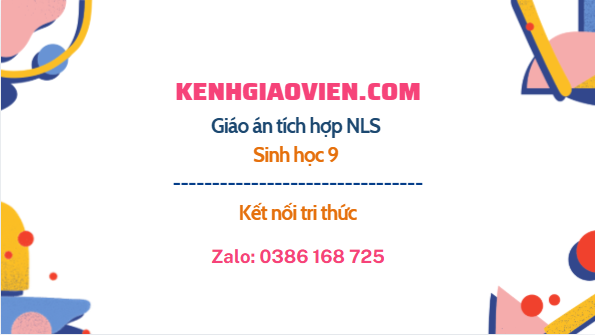 Giáo án tích hợp NLS Sinh học 9 kết nối tri thức