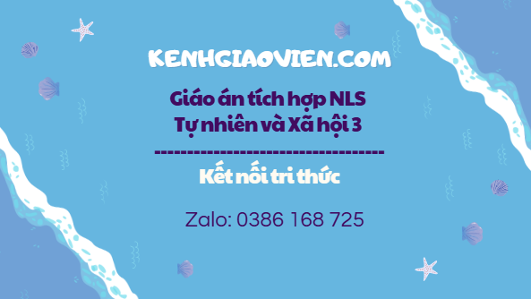 Giáo án tích hợp NLS Tự nhiên và Xã hội 3 kết nối tri thức
