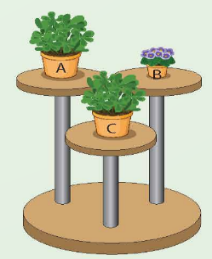 A plant on a table

Description automatically generated with medium confidence
