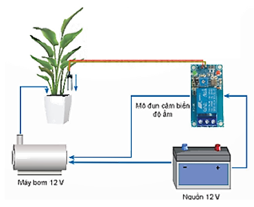 A diagram of a plant and a battery

Description automatically generated