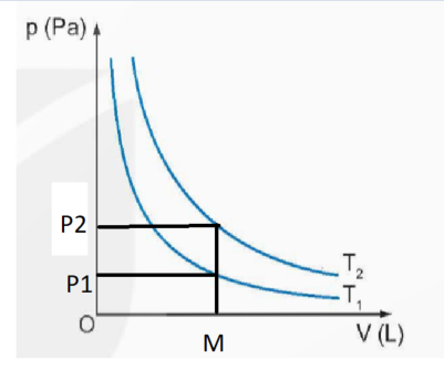 A diagram of a graph

Description automatically generated