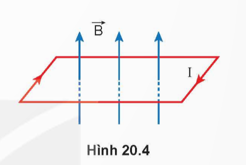 A diagram of a line with arrows

Description automatically generated