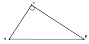 A black triangle with a black line

Description automatically generated