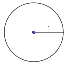 A circle with a blue dot in center

Description automatically generated