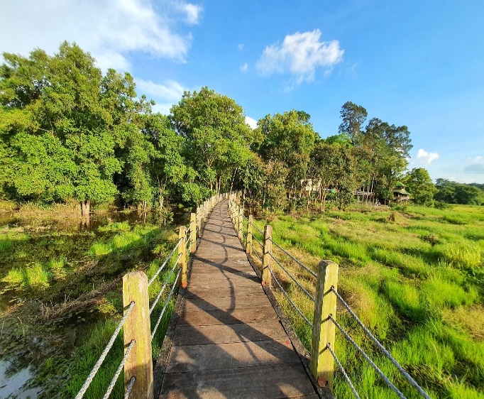 Vườn Quốc Gia Nam Cát Tiên - Địa Điểm Du Lịch Hấp Dẫn Gần Sài Gòn