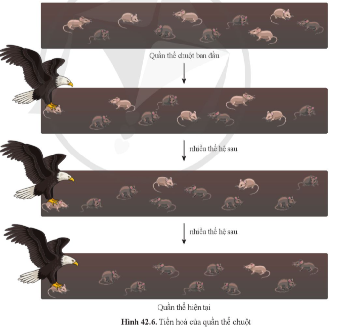 A diagram of a bird and mice

Description automatically generated with medium confidence