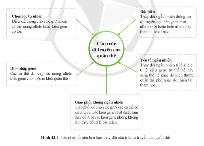 A diagram of a diagram

Description automatically generated with medium confidence