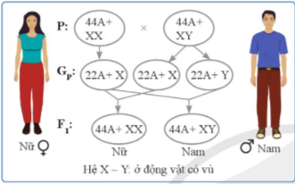 A diagram of a number system

Description automatically generated