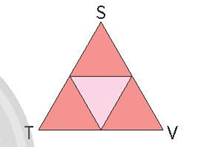 A triangle with different colors

Description automatically generated with medium confidence