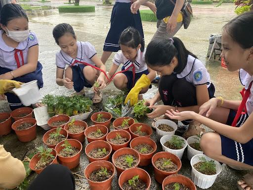 Liên đội Trường Tiểu học Nguyễn Nghiêm phát động phong trào tết trồng cây-  xanh hóa trường học - Trường Tiểu học Nguyễn Nghiêm Đức Phổ