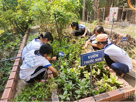 TRỒNG VÀ CHĂM SÓC CÂY XANH TRONG TRƯỜNG HỌC