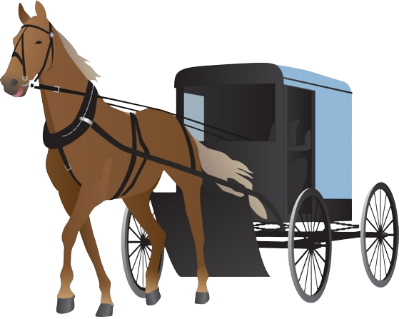 A horse pulling a carriage

Description automatically generated