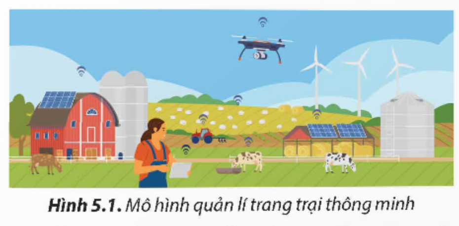 A person standing in a field with cows and a drone flying over

Description automatically generated