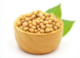 A bowl of soybeans with leaves

Description automatically generated