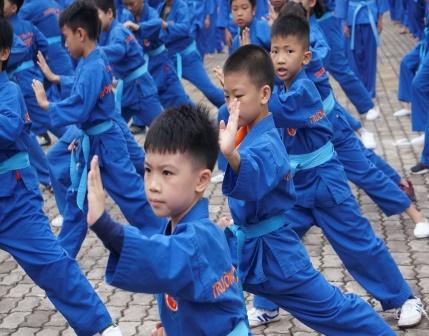 Hướng dẫn cách học võ Vovinam đơn giản tại nhà - Tin tức tổng hợp