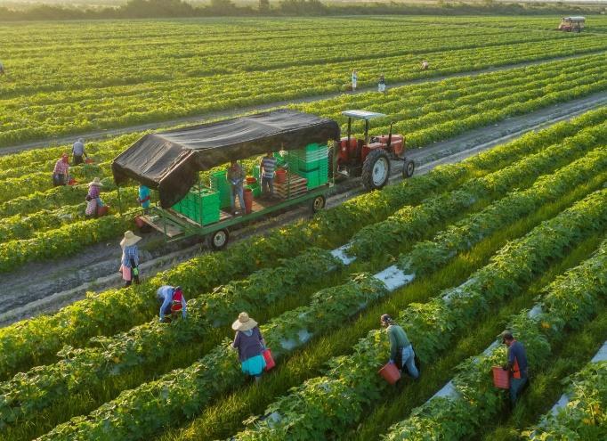 Mua bán trang trại Bảo Lộc cần lưu ý điều gì? | Bản tin Lâm Đồng