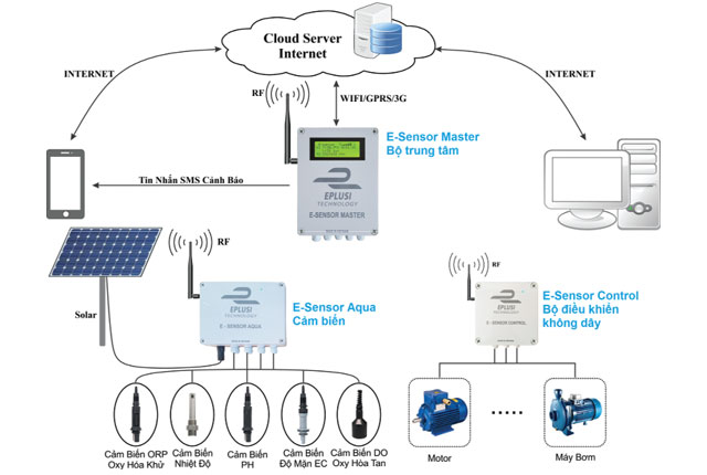 https://thuysanvietnam.com.vn/wp-content/uploads/oldsite/thuysanvietnam.com.vn_uploads/article2/baiviet/moitruong/ung-dung-iot-trong-nuoi-tom-01.jpg