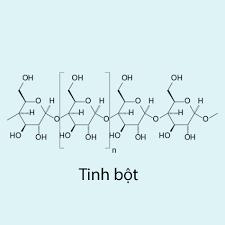 Hóa 12 Bài 6: Lý Thuyết Saccarozơ Tinh Bột Và Xenlulozơ & Bài Tập