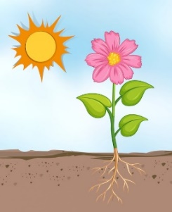 Free Vector | Scene with flowers growing in the bright sunny day