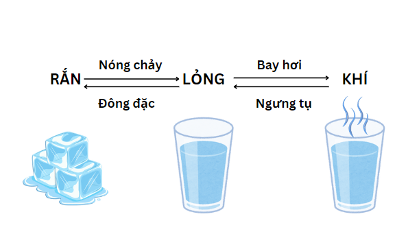 A diagram of a glass of water

Description automatically generated