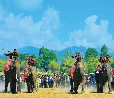 Hành trình khám phá Buôn Đôn thăm "chú voi con ở Bản Đôn"