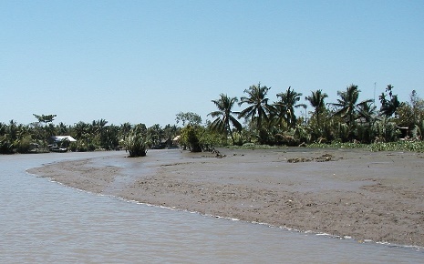 A river with trees in the background

Description automatically generated