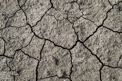 A close-up of a cracked ground

Description automatically generated