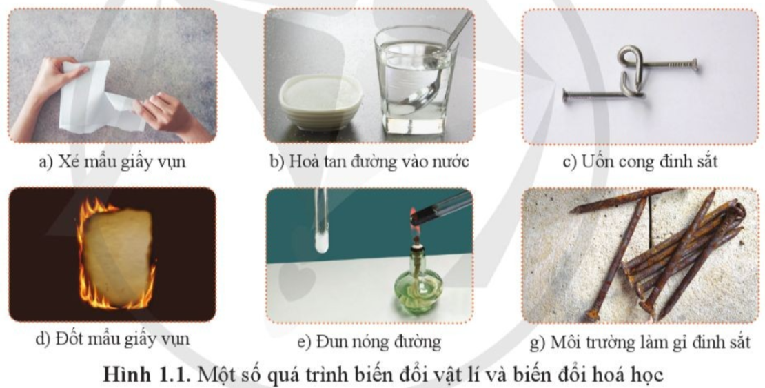 A collage of different types of laboratory equipment

Description automatically generated