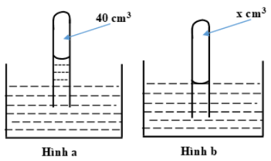 A diagram of a person's hand

Description automatically generated