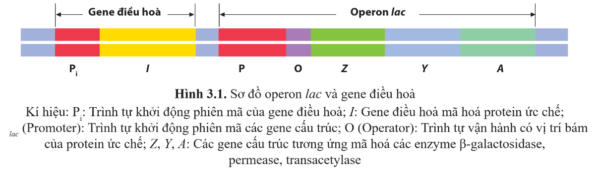 A close-up of a test

Description automatically generated