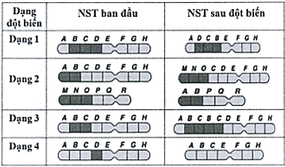 A chart of test results

Description automatically generated