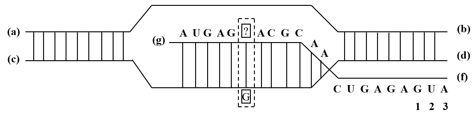 A diagram of a test

Description automatically generated