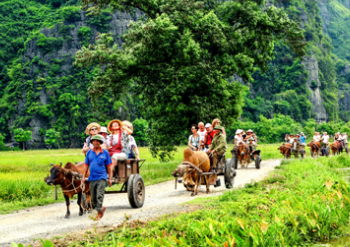 A group of people riding on carts

Description automatically generated