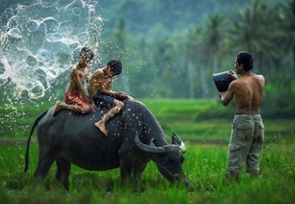 A group of men taking a picture of a buffalo

Description automatically generated