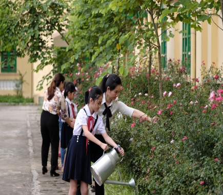 Hàng ngàn cây xanh đã đến với nhiều trường học thông qua “Qũy 1 triệu ...